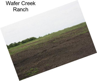 Wafer Creek Ranch