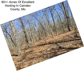 60+/- Acres Of Excellent Hunting In Camden County, Mo