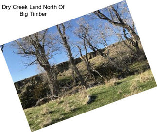 Dry Creek Land North Of Big Timber