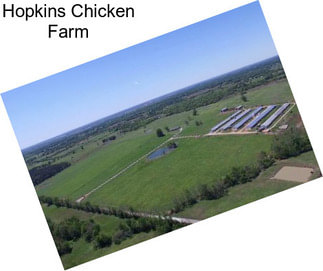 Hopkins Chicken Farm