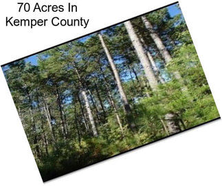 70 Acres In Kemper County