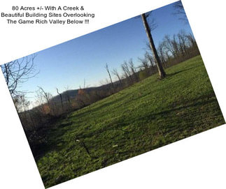 80 Acres +/- With A Creek & Beautiful Building Sites Overlooking The Game Rich Valley Below !!!