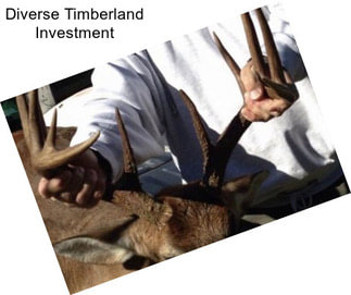 Diverse Timberland Investment