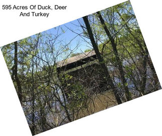 595 Acres Of Duck, Deer And Turkey