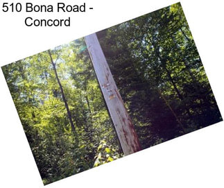 510 Bona Road - Concord