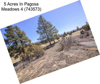 5 Acres In Pagosa Meadows 4 (743573)