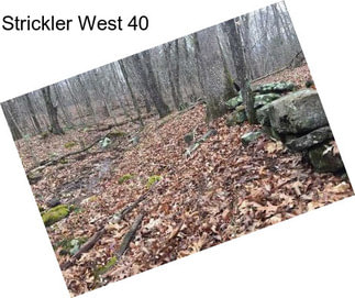 Strickler West 40