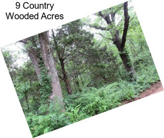9 Country Wooded Acres