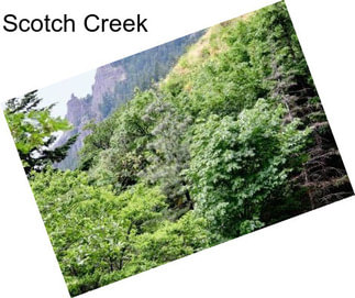 Scotch Creek