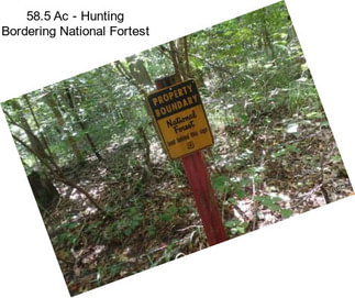 58.5 Ac - Hunting Bordering National Fortest