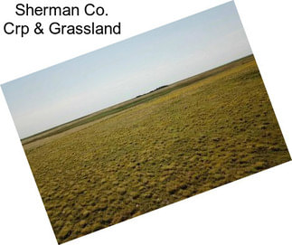 Sherman Co. Crp & Grassland