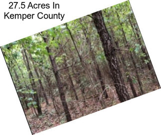 27.5 Acres In Kemper County