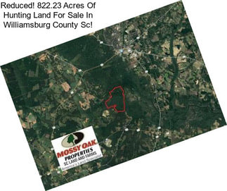 Reduced! 822.23 Acres Of Hunting Land For Sale In Williamsburg County Sc!