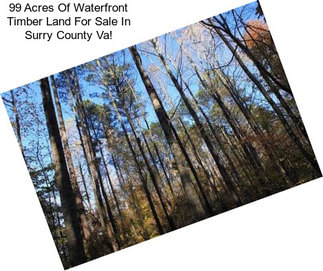 99 Acres Of Waterfront Timber Land For Sale In Surry County Va!