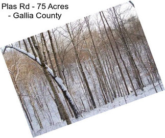 Plas Rd - 75 Acres - Gallia County