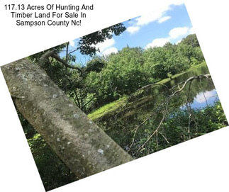 117.13 Acres Of Hunting And Timber Land For Sale In Sampson County Nc!
