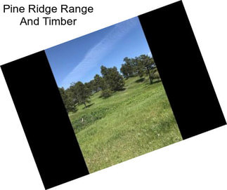 Pine Ridge Range And Timber