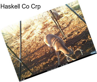 Haskell Co Crp