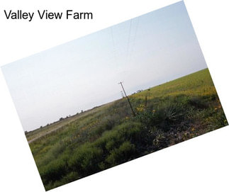 Valley View Farm