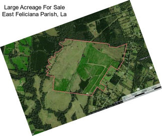 Large Acreage For Sale East Feliciana Parish, La