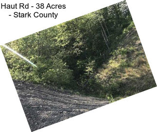 Haut Rd - 38 Acres - Stark County