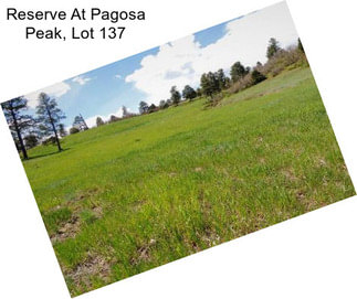 Reserve At Pagosa Peak, Lot 137