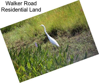 Walker Road Residential Land
