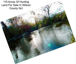 115 Acres Of Hunting Land For Sale In Wilson County Nc!