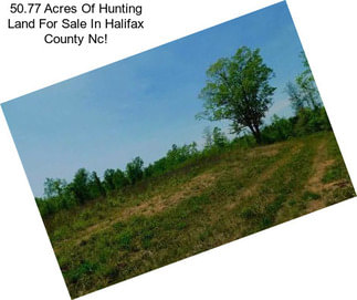 50.77 Acres Of Hunting Land For Sale In Halifax County Nc!