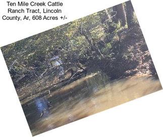 Ten Mile Creek Cattle Ranch Tract, Lincoln County, Ar, 608 Acres +/-