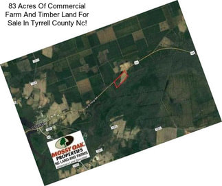 83 Acres Of Commercial Farm And Timber Land For Sale In Tyrrell County Nc!