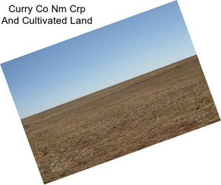 Curry Co Nm Crp And Cultivated Land