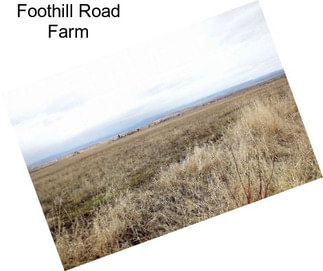 Foothill Road Farm