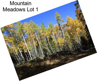 Mountain Meadows Lot 1