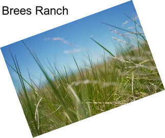 Brees Ranch