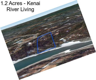 1.2 Acres - Kenai River Living