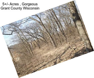 5+/- Acres , Gorgeous Grant County Wisconsin