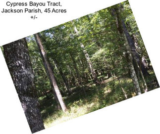 Cypress Bayou Tract, Jackson Parish, 45 Acres +/-