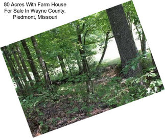 80 Acres With Farm House For Sale In Wayne County, Piedmont, Missouri