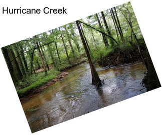 Hurricane Creek