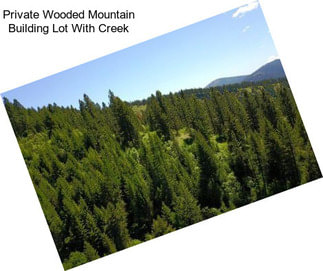 Private Wooded Mountain Building Lot With Creek