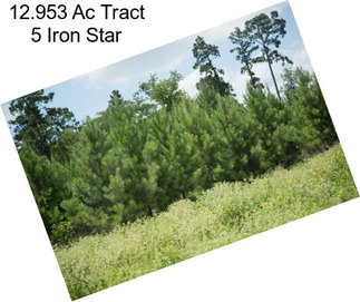 12.953 Ac Tract 5 Iron Star