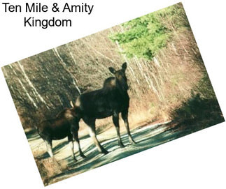 Ten Mile & Amity Kingdom