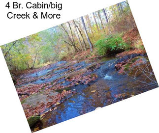 4 Br. Cabin/big Creek & More