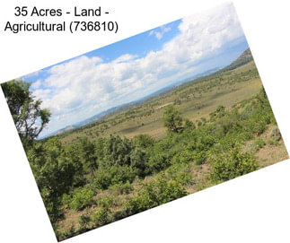 35 Acres - Land - Agricultural (736810)