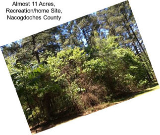 Almost 11 Acres, Recreation/home Site, Nacogdoches County