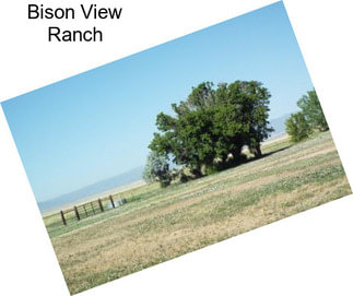 Bison View Ranch