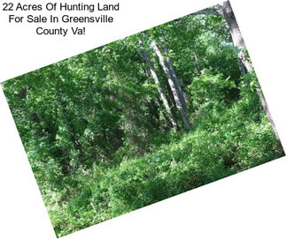 22 Acres Of Hunting Land For Sale In Greensville County Va!