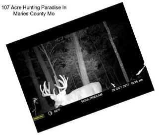 107 Acre Hunting Paradise In Maries County Mo