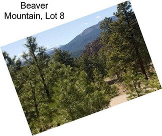 Beaver Mountain, Lot 8